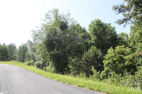 Lake Adger Parkway, Mill Spring, NC 28756 photo 4