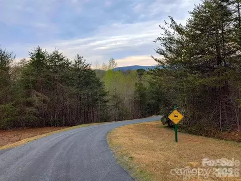 Lake Adger Parkway, Mill Spring, NC 28756 photo 19