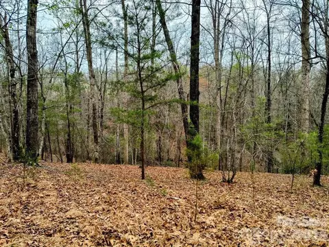 Lake Adger Parkway, Mill Spring, NC 28756 photo 18