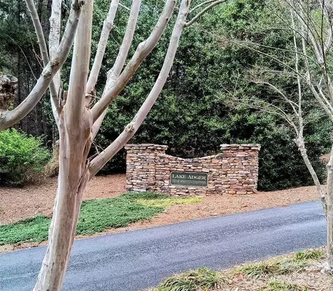 Lake Adger Parkway, Mill Spring, NC 28756 photo 21