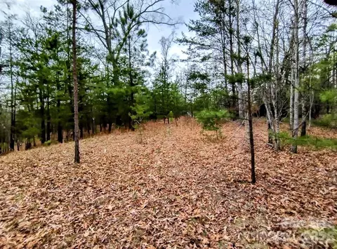 Lake Adger Parkway, Mill Spring, NC 28756 photo 14