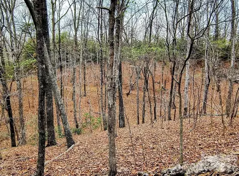 Lake Adger Parkway, Mill Spring, NC 28756 photo 15