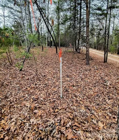 Lake Adger Parkway, Mill Spring, NC 28756 photo 16