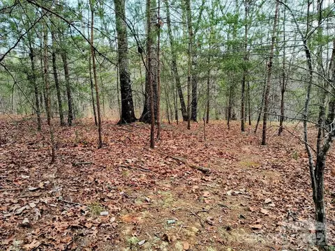 Lake Adger Parkway, Mill Spring, NC 28756 photo 17