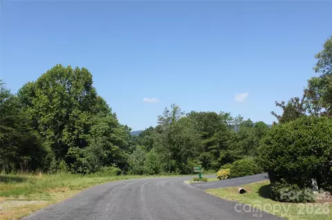 Lake Adger Parkway, Mill Spring, NC 28756 photo 2