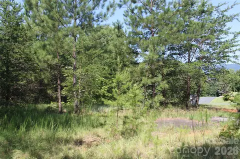 Lake Adger Parkway, Mill Spring, NC 28756 photo 9