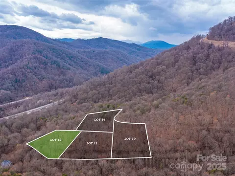 99999 Lovebird Ln, Candler, NC 28716