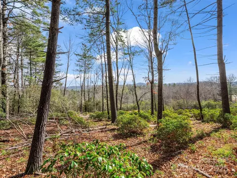 00 Winterberry Dr, Hendersonville, NC 28739