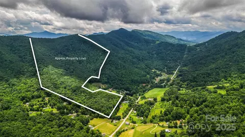 99999 Dark Cove Rd, Leicester, NC 28748