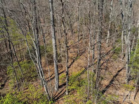 Ridge Drive, Marion, NC 28752 photo 20