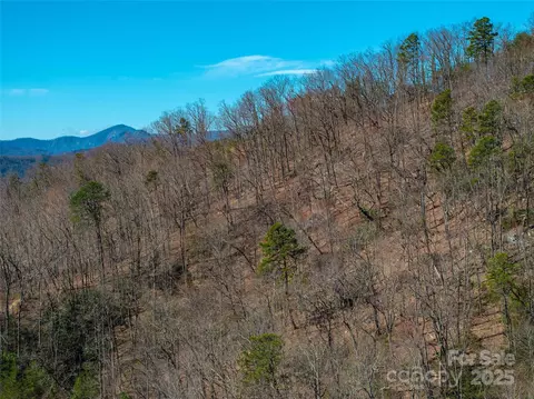 Ridge Drive, Marion, NC 28752 photo 7