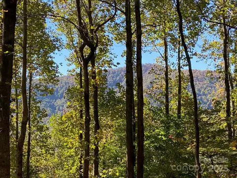 501 Warbler T-62 Ln #T-62, Black Mountain, NC 28711