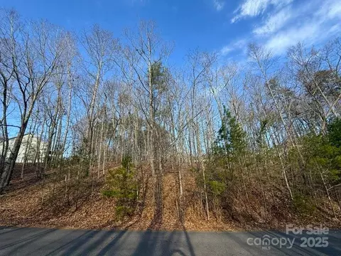 Dublin Lane, Columbus, NC 28722
