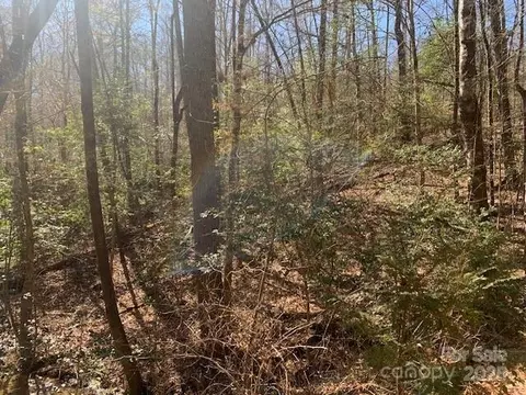 Justus View Tract 4 Road #TRACT 4, Hendersonville, NC 28739