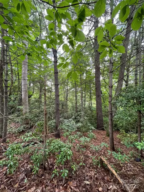 Woodglen Court, Flat Rock, NC 28731