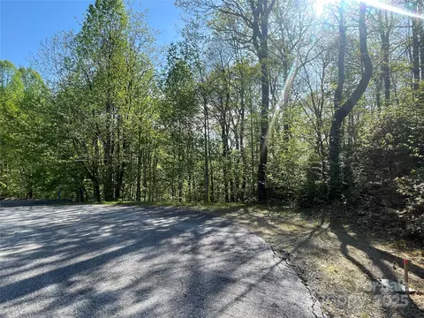 59 Mint Hill Ct, Flat Rock, NC 28731 photo 2