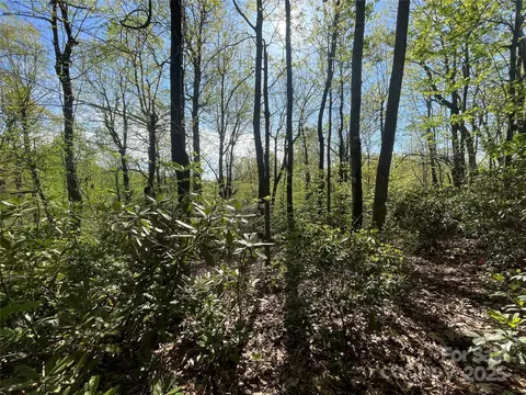 59 Mint Hill Ct, Flat Rock, NC 28731 photo 12
