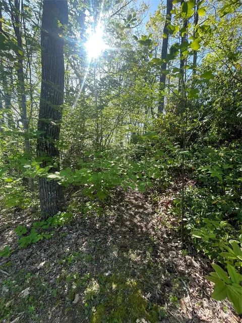 59 Mint Hill Ct, Flat Rock, NC 28731 photo 20