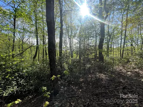 59 Mint Hill Ct, Flat Rock, NC 28731 photo 14