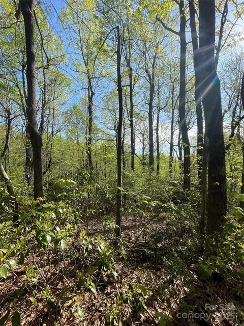 59 Mint Hill Ct, Flat Rock, NC 28731 photo 8