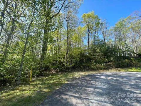 59 Mint Hill Ct, Flat Rock, NC 28731 photo 22