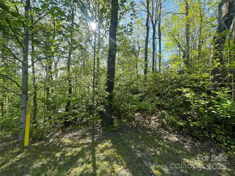 59 Mint Hill Ct, Flat Rock, NC 28731 photo 21