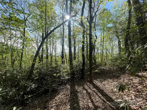 59 Mint Hill Ct, Flat Rock, NC 28731