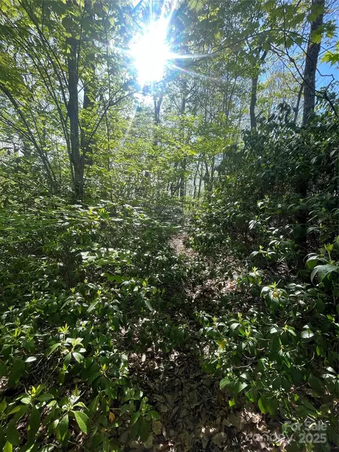 59 Mint Hill Ct, Flat Rock, NC 28731 photo 19