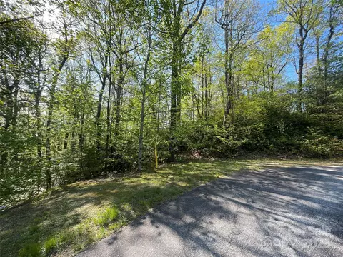 59 Mint Hill Ct, Flat Rock, NC 28731 photo 23