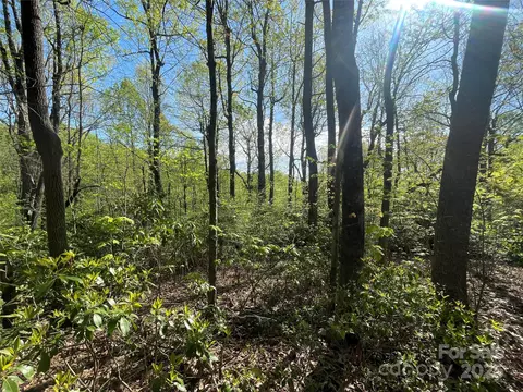 59 Mint Hill Ct, Flat Rock, NC 28731 photo 9