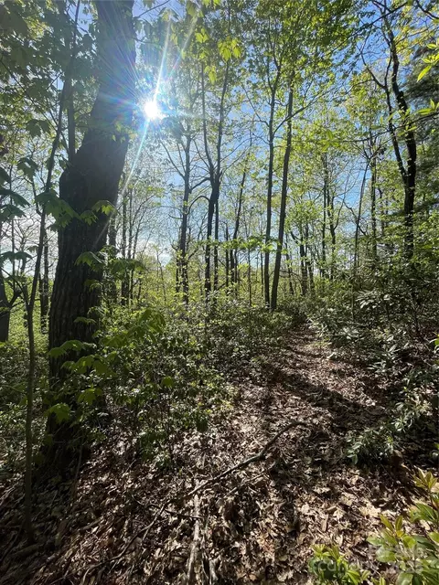 59 Mint Hill Ct, Flat Rock, NC 28731 photo 6