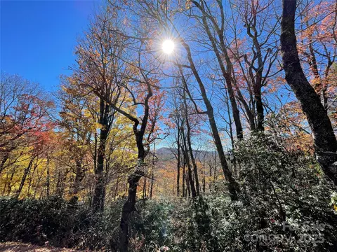 10 Shirley Pressley Road #10, Glenville, NC 28736