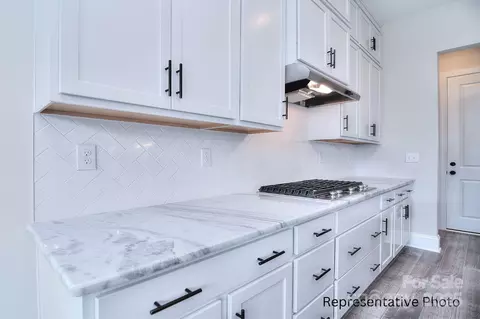 000 Millstream 149 Rd #149, Denver, NC 28037 photo 6