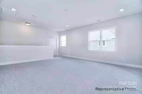 000 Millstream 149 Rd #149, Denver, NC 28037 photo 28