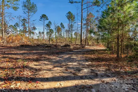 0000 Tom Joye 2 Rd #2, Clover, SC 29710 photo 20