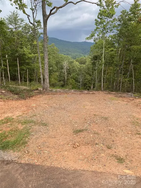 6 Jackson Ridge Ln, Mill Spring, NC 28756 photo 3