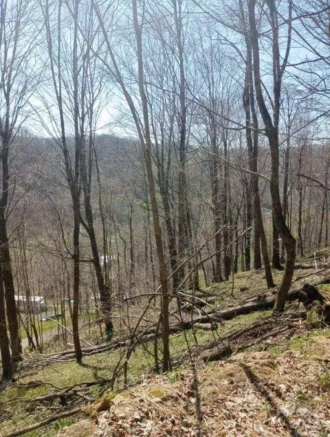 000 Rileys Dr, Bakersville, NC 28705