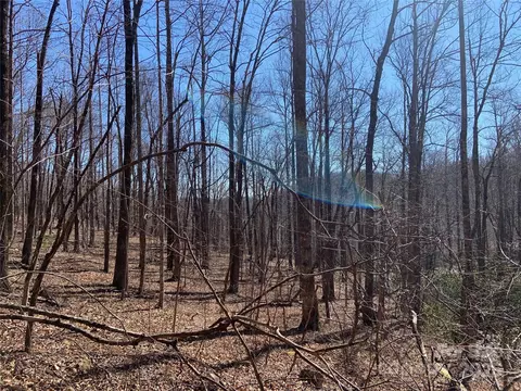 Glen Ridge 252 Trail #252, Lake Lure, NC 28746