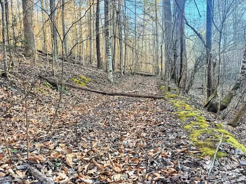 0 Bitteroot Cir, Rutherfordton, NC 28139