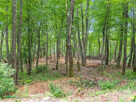 Exterior - 167 Bold Springs Rd, Sylva, NC 28779 photo 10 of 12