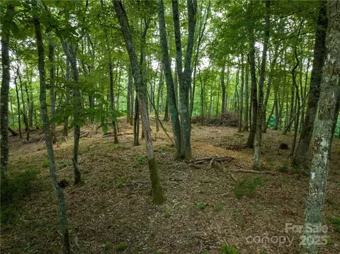 Other - 167 Bold Springs Rd, Sylva, NC 28779 photo 11 of 11