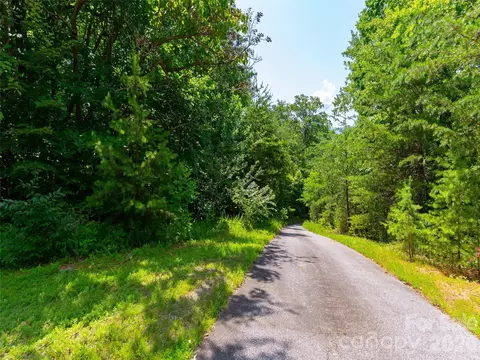 Other - 142 Elkton Ct, Mill Spring, NC 28756 photo 4 of 9