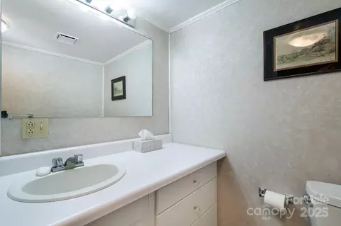 684 Coxe Rd, Tryon, NC 28782 photo 24