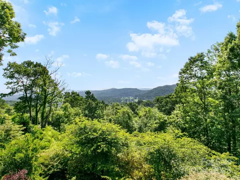 Other - 705 Overlook Dr, Flat Rock, NC 28731 photo 9 of 10
