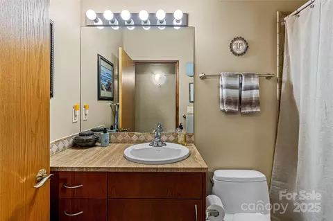 Bath - 705 Overlook Dr, Flat Rock, NC 28731 photo 3 of 6
