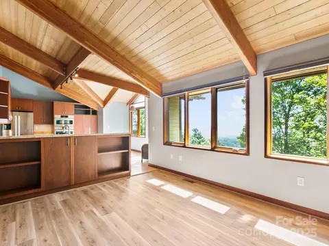 Living - 705 Overlook Dr, Flat Rock, NC 28731 photo 5 of 5