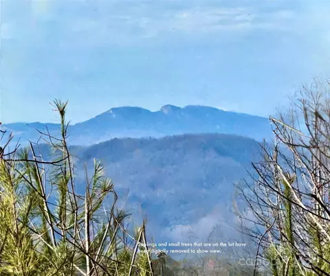 Rocky Falls Lot 159 Lane LOT 159, Lenoir, NC 28645
