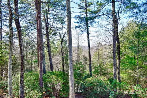 218 Doe Run, Purlear, NC 28665 photo 17