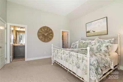182 Walking Horse Trl, Davidson, NC 28036 photo 29