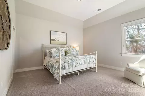 182 Walking Horse Trl, Davidson, NC 28036 photo 28